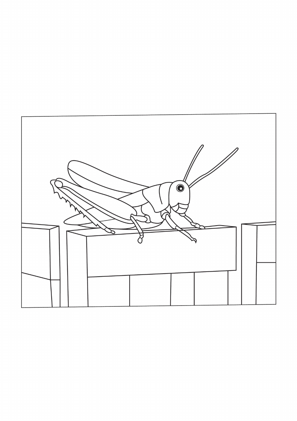 Grasshopper Coloring Book coloring page 5