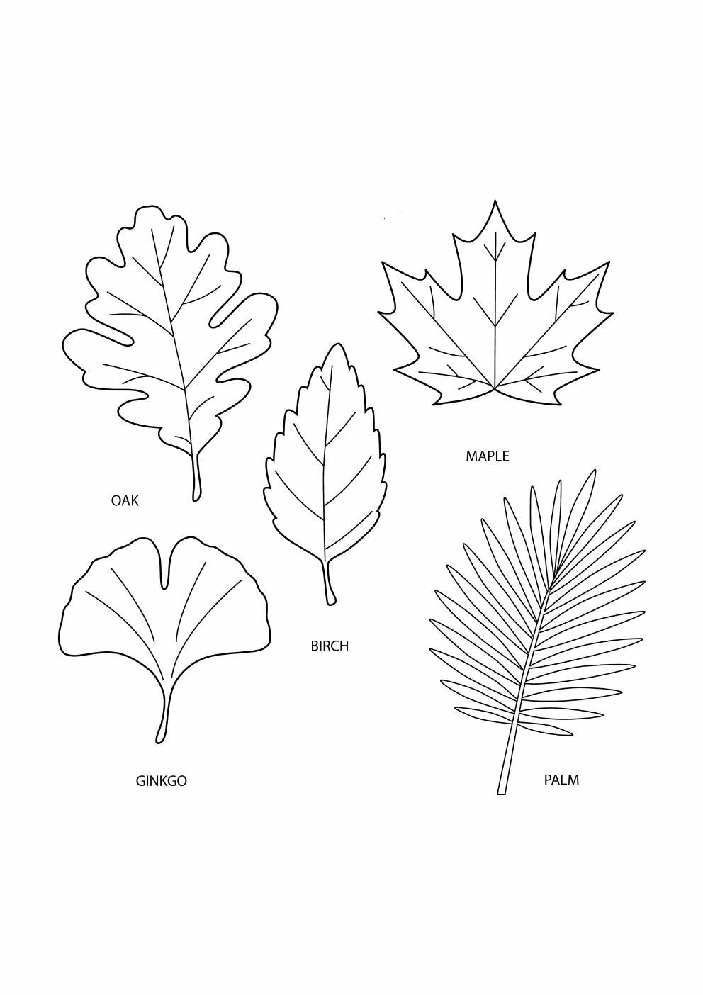 Leaves Coloring Book coloring page 1