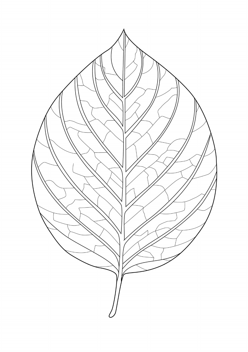 Leaves Coloring Book coloring page 2