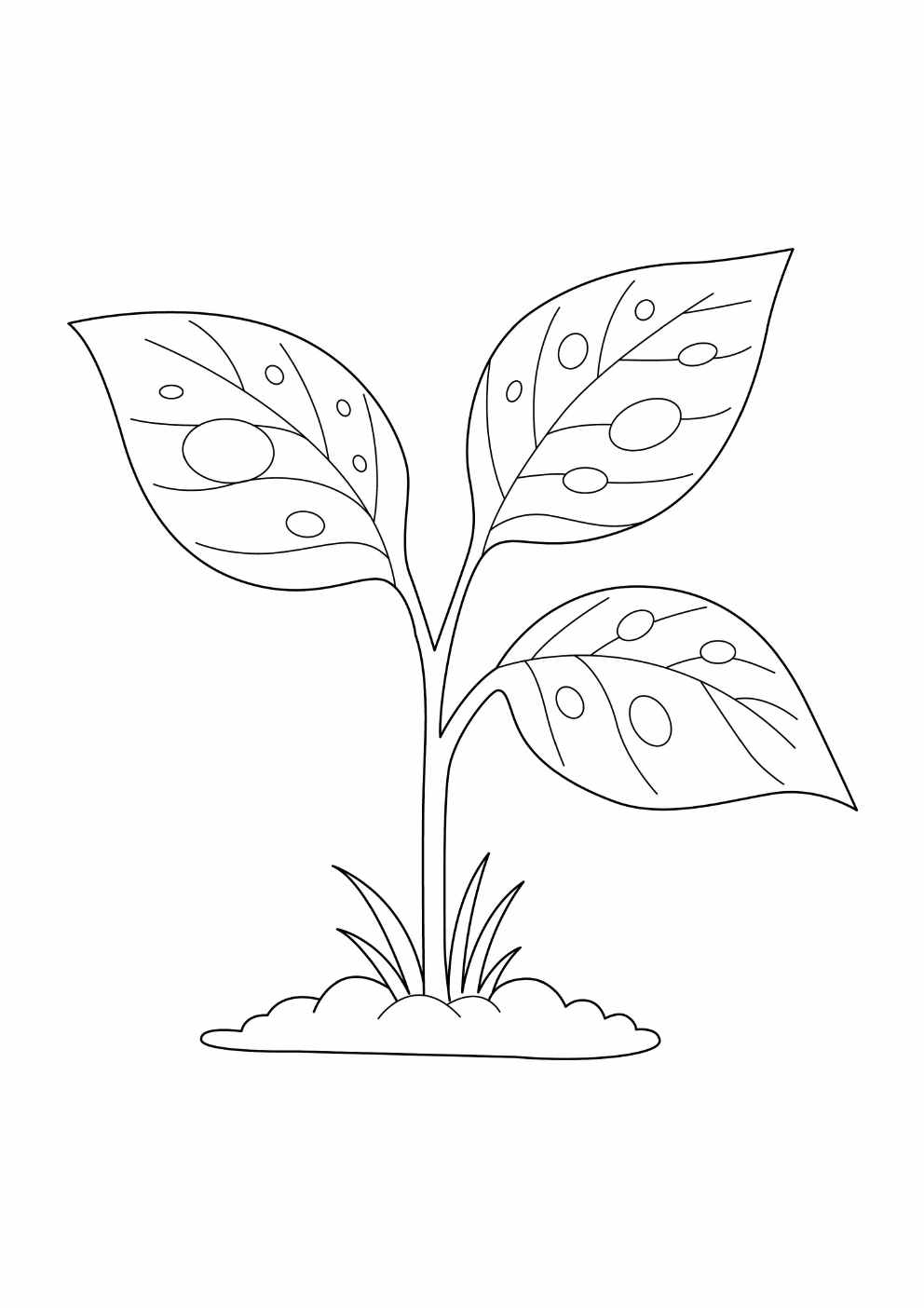 Leaves Coloring Book coloring page 13
